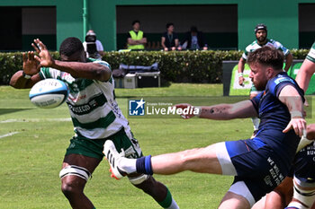 2024-06-01 - Images of the URC game between BENETTON RUGBY and Edinburgh Rugby at Monigo Stadium, Italy on June 1, 2024 - BENETTON RUGBY VS EDINBURGH RUGBY - UNITED RUGBY CHAMPIONSHIP - RUGBY