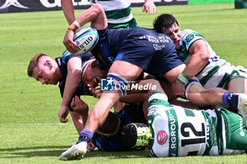 2024-06-01 - Images of the URC game between BENETTON RUGBY and Edinburgh Rugby at Monigo Stadium, Italy on June 1, 2024 - BENETTON RUGBY VS EDINBURGH RUGBY - UNITED RUGBY CHAMPIONSHIP - RUGBY