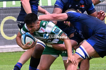 2024-06-01 - Tomas Albornoz ( Benetton Rugby ) during the URC game between BENETTON RUGBY and Edinburgh Rugby at Monigo Stadium, Italy on June 1, 2024 - BENETTON RUGBY VS EDINBURGH RUGBY - UNITED RUGBY CHAMPIONSHIP - RUGBY