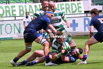 2024-06-01 - Images of the URC game between BENETTON RUGBY and Edinburgh Rugby at Monigo Stadium, Italy on June 1, 2024 - BENETTON RUGBY VS EDINBURGH RUGBY - UNITED RUGBY CHAMPIONSHIP - RUGBY