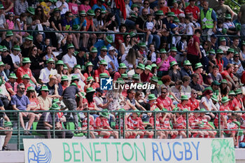 2024-06-01 - Images of the URC game between BENETTON RUGBY and Edinburgh Rugby at Monigo Stadium, Italy on June 1, 2024 - BENETTON RUGBY VS EDINBURGH RUGBY - UNITED RUGBY CHAMPIONSHIP - RUGBY