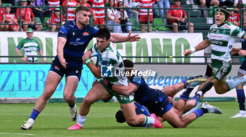 2024-06-01 - Tommaso Menoncello ( Benetton Rugby ) during the URC game between BENETTON RUGBY and Edinburgh Rugby at Monigo Stadium, Italy on June 1, 2024 - BENETTON RUGBY VS EDINBURGH RUGBY - UNITED RUGBY CHAMPIONSHIP - RUGBY