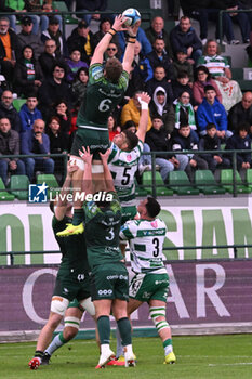 2024-03-30 - Actions of the game and players' images during Round 13 of RUGBY - UNITED RUGBY CHAMPIONSHIP game between BENETTON RUGBY and CONNACHT at Monigo Stadium, Italy on   March 30, 2024 - BENETTON RUGBY VS CONNACHT RUGBY - UNITED RUGBY CHAMPIONSHIP - RUGBY