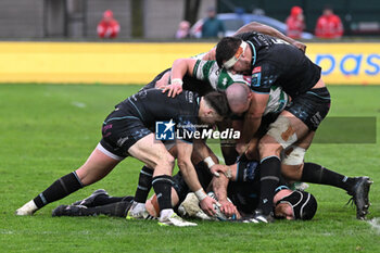 2024-03-02 - Rucking during the match between Benetton Rugby and Glasgow Warriors, 11° Round URC 2023/2024 at Stadio Monigo (TV ), on 2 March, 2024. - BENETTON RUGBY VS GLASGOW WARRIORS - UNITED RUGBY CHAMPIONSHIP - RUGBY