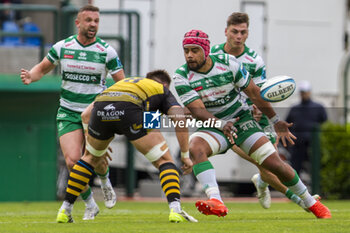 2024-04-20 - Toa Halafihi - BENETTON RUGBY VS DRAGONS - UNITED RUGBY CHAMPIONSHIP - RUGBY