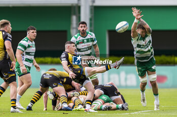 2024-04-20 - Dane Blacker kick on the box - BENETTON RUGBY VS DRAGONS - UNITED RUGBY CHAMPIONSHIP - RUGBY