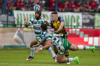 Benetton Rugby vs Dragons - UNITED RUGBY CHAMPIONSHIP - RUGBY