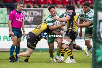 2024-04-20 - Ivan Nemer - BENETTON RUGBY VS DRAGONS - UNITED RUGBY CHAMPIONSHIP - RUGBY