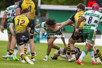 2024-04-20 - Jacob Umaga - BENETTON RUGBY VS DRAGONS - UNITED RUGBY CHAMPIONSHIP - RUGBY