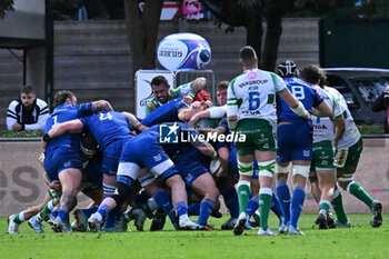 2024-10-05 - Actions of the game and players' images during the match between Benetton Rugby vs Leinster Rugby match at Monigo Stadium - October 5, 2024, during the United Rugby Championship 2024/2025 - BENETTON RUGBY VS LEINSTER RUGBY - UNITED RUGBY CHAMPIONSHIP - RUGBY