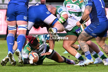 2024-10-05 - Actions of the game and players' images during the match between Benetton Rugby vs Leinster Rugby match at Monigo Stadium - October 5, 2024, during the United Rugby Championship 2024/2025 - BENETTON RUGBY VS LEINSTER RUGBY - UNITED RUGBY CHAMPIONSHIP - RUGBY