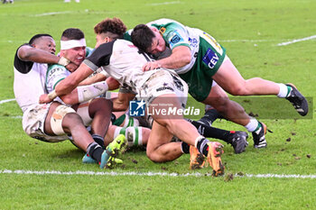 2024-10-12 - Actions of the game and players' images during the match between Benetton Rugby vs Hollywoodbets Sharks match at Monigo Stadium - October 12, 2024, during the United Rugby Championship 2024/2025 - BENETTON RUGBY VS HOLLYWOODBETS SHARKS - UNITED RUGBY CHAMPIONSHIP - RUGBY