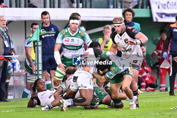 2024-10-12 - Actions of the game and players' images during the match between Benetton Rugby vs Hollywoodbets Sharks match at Monigo Stadium - October 12, 2024, during the United Rugby Championship 2024/2025 - BENETTON RUGBY VS HOLLYWOODBETS SHARKS - UNITED RUGBY CHAMPIONSHIP - RUGBY