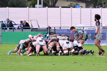 2024-10-12 - Actions of the game and players' images during the match between Benetton Rugby vs Hollywoodbets Sharks match at Monigo Stadium - October 12, 2024, during the United Rugby Championship 2024/2025 - BENETTON RUGBY VS HOLLYWOODBETS SHARKS - UNITED RUGBY CHAMPIONSHIP - RUGBY