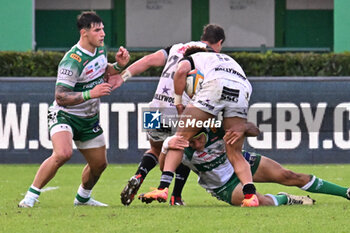 2024-10-12 - Actions of the game and players' images during the match between Benetton Rugby vs Hollywoodbets Sharks match at Monigo Stadium - October 12, 2024, during the United Rugby Championship 2024/2025 - BENETTON RUGBY VS HOLLYWOODBETS SHARKS - UNITED RUGBY CHAMPIONSHIP - RUGBY