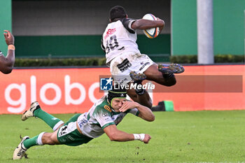 2024-10-12 - Actions of the game and players' images during the match between Benetton Rugby vs Hollywoodbets Sharks match at Monigo Stadium - October 12, 2024, during the United Rugby Championship 2024/2025 - BENETTON RUGBY VS HOLLYWOODBETS SHARKS - UNITED RUGBY CHAMPIONSHIP - RUGBY