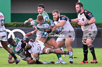 2024-10-12 - Actions of the game and players' images during the match between Benetton Rugby vs Hollywoodbets Sharks match at Monigo Stadium - October 12, 2024, during the United Rugby Championship 2024/2025 - BENETTON RUGBY VS HOLLYWOODBETS SHARKS - UNITED RUGBY CHAMPIONSHIP - RUGBY