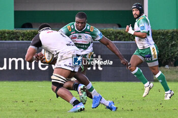 2024-10-12 - Actions of the game and players' images during the match between Benetton Rugby vs Hollywoodbets Sharks match at Monigo Stadium - October 12, 2024, during the United Rugby Championship 2024/2025 - BENETTON RUGBY VS HOLLYWOODBETS SHARKS - UNITED RUGBY CHAMPIONSHIP - RUGBY