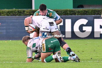 2024-10-12 - Actions of the game and players' images during the match between Benetton Rugby vs Hollywoodbets Sharks match at Monigo Stadium - October 12, 2024, during the United Rugby Championship 2024/2025 - BENETTON RUGBY VS HOLLYWOODBETS SHARKS - UNITED RUGBY CHAMPIONSHIP - RUGBY