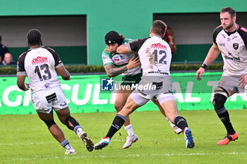 2024-10-12 - Actions of the game and players' images during the match between Benetton Rugby vs Hollywoodbets Sharks match at Monigo Stadium - October 12, 2024, during the United Rugby Championship 2024/2025 - BENETTON RUGBY VS HOLLYWOODBETS SHARKS - UNITED RUGBY CHAMPIONSHIP - RUGBY