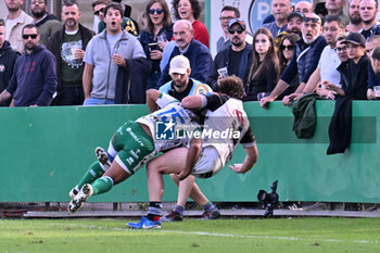 2024-10-12 - Actions of the game and players' images during the match between Benetton Rugby vs Hollywoodbets Sharks match at Monigo Stadium - October 12, 2024, during the United Rugby Championship 2024/2025 - BENETTON RUGBY VS HOLLYWOODBETS SHARKS - UNITED RUGBY CHAMPIONSHIP - RUGBY