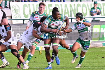 2024-10-12 - Alessandro Izekor ( Benetton Rugby ) during the match between Benetton Rugby vs Hollywoodbets Sharks match at Monigo Stadium - October 12, 2024, during the United Rugby Championship 2024/2025 - BENETTON RUGBY VS HOLLYWOODBETS SHARKS - UNITED RUGBY CHAMPIONSHIP - RUGBY