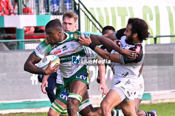 2024-10-12 - Alessandro Izekor ( Benetton Rugby ) during the match between Benetton Rugby vs Hollywoodbets Sharks match at Monigo Stadium - October 12, 2024, during the United Rugby Championship 2024/2025 - BENETTON RUGBY VS HOLLYWOODBETS SHARKS - UNITED RUGBY CHAMPIONSHIP - RUGBY