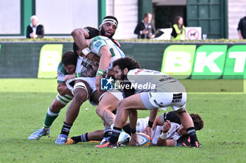 2024-10-12 - Actions of the game and players' images during the match between Benetton Rugby vs Hollywoodbets Sharks match at Monigo Stadium - October 12, 2024, during the United Rugby Championship 2024/2025 - BENETTON RUGBY VS HOLLYWOODBETS SHARKS - UNITED RUGBY CHAMPIONSHIP - RUGBY