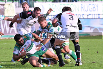 2024-10-12 - Actions of the game and players' images during the match between Benetton Rugby vs Hollywoodbets Sharks match at Monigo Stadium - October 12, 2024, during the United Rugby Championship 2024/2025 - BENETTON RUGBY VS HOLLYWOODBETS SHARKS - UNITED RUGBY CHAMPIONSHIP - RUGBY