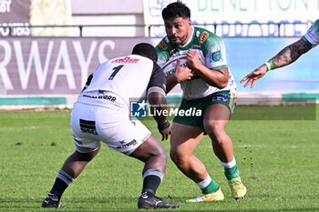 2024-10-12 - Actions of the game and players' images during the match between Benetton Rugby vs Hollywoodbets Sharks match at Monigo Stadium - October 12, 2024, during the United Rugby Championship 2024/2025 - BENETTON RUGBY VS HOLLYWOODBETS SHARKS - UNITED RUGBY CHAMPIONSHIP - RUGBY