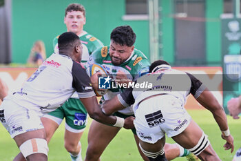 2024-10-12 - Actions of the game and players' images during the match between Benetton Rugby vs Hollywoodbets Sharks match at Monigo Stadium - October 12, 2024, during the United Rugby Championship 2024/2025 - BENETTON RUGBY VS HOLLYWOODBETS SHARKS - UNITED RUGBY CHAMPIONSHIP - RUGBY