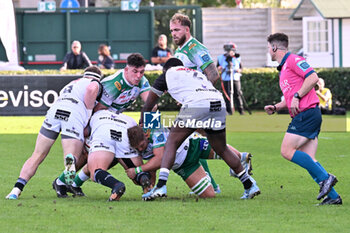 2024-10-12 - Actions of the game and players' images during the match between Benetton Rugby vs Hollywoodbets Sharks match at Monigo Stadium - October 12, 2024, during the United Rugby Championship 2024/2025 - BENETTON RUGBY VS HOLLYWOODBETS SHARKS - UNITED RUGBY CHAMPIONSHIP - RUGBY