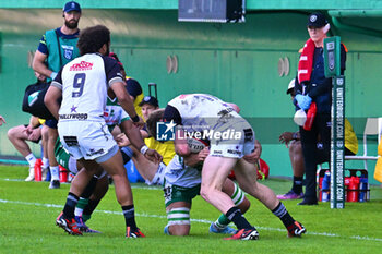 2024-10-12 - Actions of the game and players' images during the match between Benetton Rugby vs Hollywoodbets Sharks match at Monigo Stadium - October 12, 2024, during the United Rugby Championship 2024/2025 - BENETTON RUGBY VS HOLLYWOODBETS SHARKS - UNITED RUGBY CHAMPIONSHIP - RUGBY