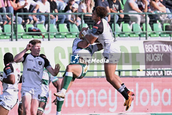 2024-10-12 - Actions of the game and players' images during the match between Benetton Rugby vs Hollywoodbets Sharks match at Monigo Stadium - October 12, 2024, during the United Rugby Championship 2024/2025 - BENETTON RUGBY VS HOLLYWOODBETS SHARKS - UNITED RUGBY CHAMPIONSHIP - RUGBY