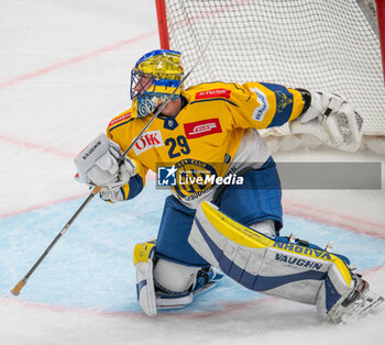 2024-01-23 - Lausanne Switzerland, 01/23/2024: Sandro Aeschilman (goalie) of HC Davos #29 is in action during Lausanne HC Versus HC Davos. The match of the 40th day of the 2023-2024 season took place at the Vaudoise Arena in Lausanne between Lausanne HC and HC Davos. - SWISS NATIONAL LEAGUE - LAUSANNE HC VS HC DAVOS - ICE HOCKEY - WINTER SPORTS