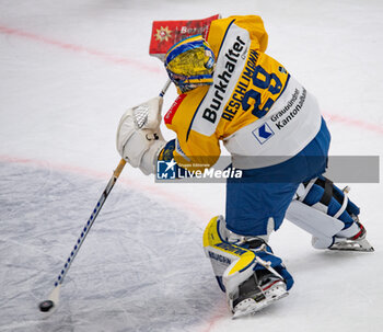 23/01/2024 - Lausanne Switzerland, 01/23/2024: Sandro Aeschilman (goalie) of HC Davos #29 is in action during Lausanne HC Versus HC Davos. The match of the 40th day of the 2023-2024 season took place at the Vaudoise Arena in Lausanne between Lausanne HC and HC Davos. - SWISS NATIONAL LEAGUE - LAUSANNE HC VS HC DAVOS - HOCKEY SU GHIACCIO - SPORT INVERNALI