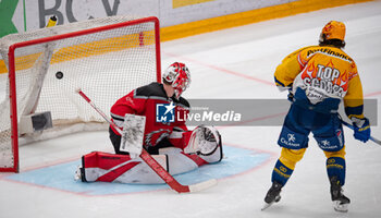 2024-01-23 - Lausanne Switzerland, 01/23/2024: Matej Stravinsky of HC Davos #44 scores a goal against Kevin Pasche (goalie) of Lausanne HC #31 during Lausanne HC Versus HC Davos. The match of the 40th day of the 2023-2024 season took place at the Vaudoise Arena in Lausanne between Lausanne HC and HC Davos. - SWISS NATIONAL LEAGUE - LAUSANNE HC VS HC DAVOS - ICE HOCKEY - WINTER SPORTS