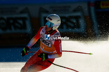 27/01/2024 - Flury Jasmine (SUI) - 2024 AUDI FIS WORLD CUP - WOMEN'S DOWNHILL - SCI ALPINO - SPORT INVERNALI