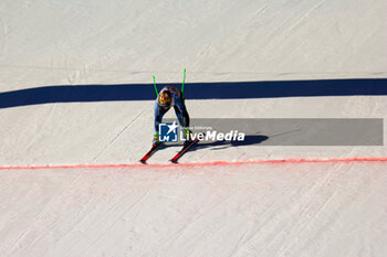 2024-01-27 - Brignone Federica (ITA) - 2024 AUDI FIS WORLD CUP - WOMEN'S DOWNHILL - ALPINE SKIING - WINTER SPORTS