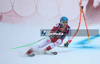 2024-01-17 - ALPINE SKIING - FIS WC 2023-2024
Men's World Cup DH TRA2
Kitzbuehel, Austria, Austria
2024-01-17 - Wednesday
Image shows: NEUMAYER Christopher (AUT) 6th CLASSIFIED

 - AUDI FIS WORLD CUP SKI - MEN'S DOWNHILL TRAINING - ALPINE SKIING - WINTER SPORTS