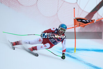 2024-01-17 - ALPINE SKIING - FIS WC 2023-2024
Men's World Cup DH TRA2
Kitzbuehel, Austria, Austria
2024-01-17 - Wednesday
Image shows: NEUMAYER Christopher (AUT) 6th CLASSIFIED

 - AUDI FIS WORLD CUP SKI - MEN'S DOWNHILL TRAINING - ALPINE SKIING - WINTER SPORTS