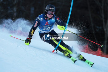 2024-01-21 - ALPINE SKIING - FIS WC 2023-2024
Men's World Cup SL
Kitzbuehel, Austria, Austria
2024-01-21 - Sunday
Image shows: JAKOBSEN Kristoffer (SWE) 


















































































 - AUDI FIS WORLD CUP SKI - MEN'S SLALOM - ALPINE SKIING - WINTER SPORTS
