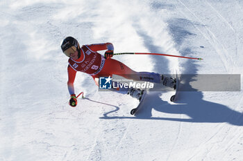2024-01-26 - ALPINE SKIING - FIS WC 2023-2024
Women's World Cup DH
Cortina D'Ampezzo, Veneto, Italy
2024-01-26 - Friday
Image shows: GUT-BEHRAMI Lara (SUI) SECOND CLASSIFIED
























































































 - 2024 AUDI FIS WORLD CUP - WOMEN'S DOWNHILL - ALPINE SKIING - WINTER SPORTS