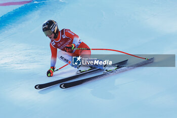 26/01/2024 - ALPINE SKIING - FIS WC 2023-2024
Women's World Cup DH
Cortina D'Ampezzo, Veneto, Italy
2024-01-26 - Friday
Image shows: GUT-BEHRAMI Lara (SUI) SECOND CLASSIFIED
























































































 - 2024 AUDI FIS WORLD CUP - WOMEN'S DOWNHILL - SCI ALPINO - SPORT INVERNALI