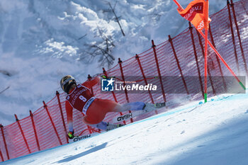 2024-01-26 - ALPINE SKIING - FIS WC 2023-2024
Women's World Cup DH
Cortina D'Ampezzo, Veneto, Italy
2024-01-26 - Friday
Image shows: GUT-BEHRAMI Lara (SUI) SECOND CLASSIFIED

























































































 - 2024 AUDI FIS WORLD CUP - WOMEN'S DOWNHILL - ALPINE SKIING - WINTER SPORTS