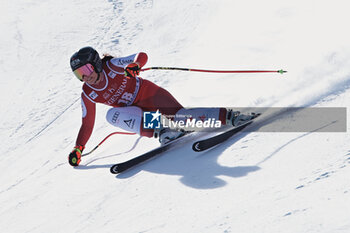 26/01/2024 - ALPINE SKIING - FIS WC 2023-2024
Women's World Cup DH
Cortina D'Ampezzo, Veneto, Italy
2024-01-26 - Friday
Image shows: VENIER Stephanie (AUT) FIRST CLASSIFIED



























































































 - 2024 AUDI FIS WORLD CUP - WOMEN'S DOWNHILL - SCI ALPINO - SPORT INVERNALI