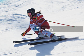 2024-01-26 - ALPINE SKIING - FIS WC 2023-2024
Women's World Cup DH
Cortina D'Ampezzo, Veneto, Italy
2024-01-26 - Friday
Image shows: VENIER Stephanie (AUT) FIRST CLASSIFIED



























































































 - 2024 AUDI FIS WORLD CUP - WOMEN'S DOWNHILL - ALPINE SKIING - WINTER SPORTS