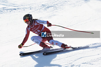 26/01/2024 - ALPINE SKIING - FIS WC 2023-2024
Women's World Cup DH
Cortina D'Ampezzo, Veneto, Italy
2024-01-26 - Friday
Image shows: AGER Christina (AUT) 



























































































 - 2024 AUDI FIS WORLD CUP - WOMEN'S DOWNHILL - SCI ALPINO - SPORT INVERNALI