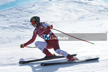 2024-01-26 - ALPINE SKIING - FIS WC 2023-2024
Women's World Cup DH
Cortina D'Ampezzo, Veneto, Italy
2024-01-26 - Friday
Image shows: AGER Christina (AUT) 



























































































 - 2024 AUDI FIS WORLD CUP - WOMEN'S DOWNHILL - ALPINE SKIING - WINTER SPORTS