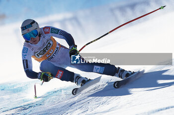 27/01/2024 - ALPINE SKIING - FIS WC 2023-2024
Women's World Cup DH
Cortina D'Ampezzo, Veneto, Italy
2024-01-27 - Saturday
Image shows: MOWINCKEL Ragnhild (NOR) FIRST CLASSIFIED





































































































 - 2024 AUDI FIS WORLD CUP - WOMEN'S DOWNHILL - SCI ALPINO - SPORT INVERNALI